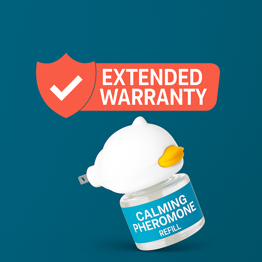 Extended Warranty Protection